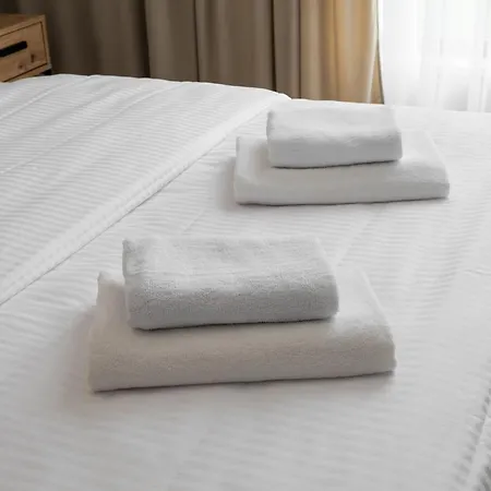 Wilanow Sarmacka With Garden By Bookinghost *